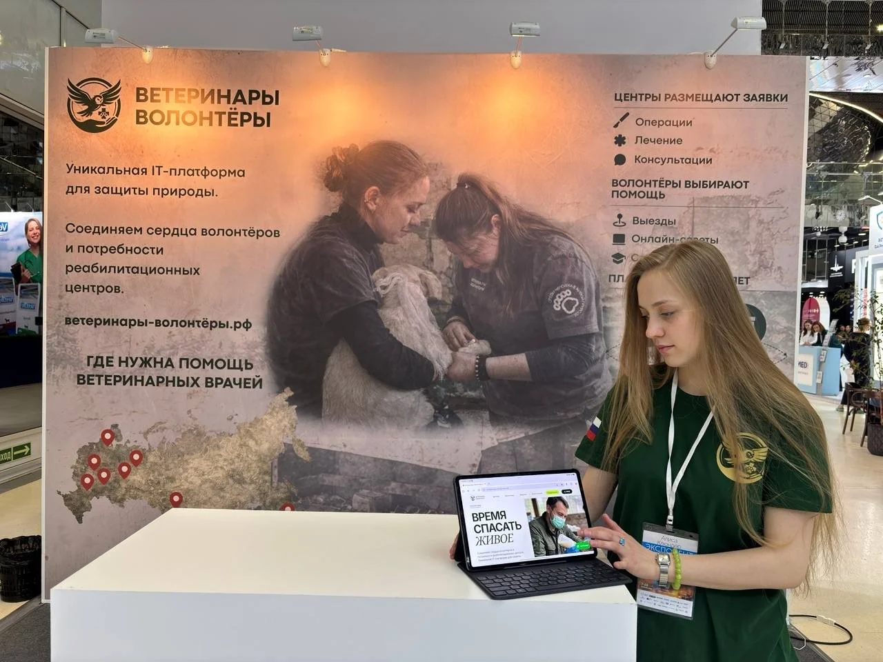 Презентация портала ВЕТЕРИНАРЫ-ВОЛОНТЕРЫ в рамках MMVC